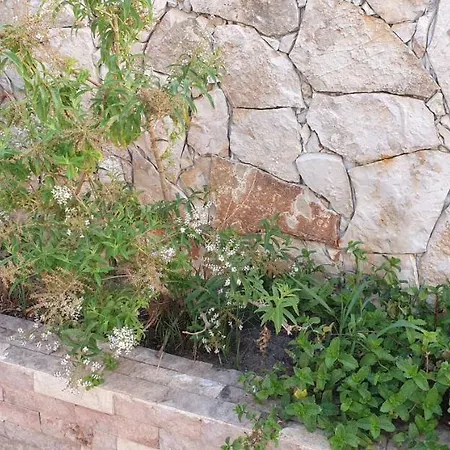 Guest house Dona Ana 3*